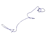 G Protein Alpha Stimulating Activity Polypeptide 1 (GNaS1)