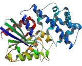 G Protein Alpha Z (GNaZ)