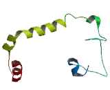 G Protein Coupled Receptor, Family C, Group 5, Member C (GPRC5C)