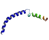 G Protein Coupled Receptor 107 (GPR107)