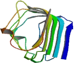 G Protein Coupled Receptor 124 (GPR124)