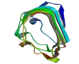 G Protein Coupled Receptor 125 (GPR125)