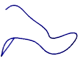 G Protein Coupled Receptor 137 (GPR137)