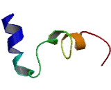 G Protein Coupled Receptor 139 (GPR139)