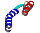 G Protein Coupled Receptor 141 (GPR141)