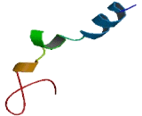 G Protein Coupled Receptor 149 (GPR149)