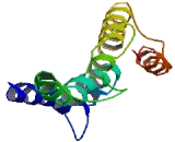 G Protein Coupled Receptor 150 (GPR150)