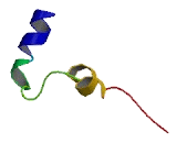 G Protein Coupled Receptor 152 (GPR152)