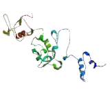 G Protein Coupled Receptor 156 (GPR156)