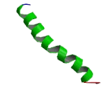 G Protein Coupled Receptor 173 (GPR173)