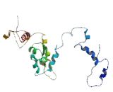 G Protein Coupled Receptor 180 (GPR180)