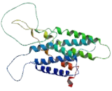 G Protein Coupled Receptor 31 (GPR31)