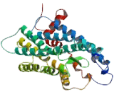 G Protein Coupled Receptor 33 (GPR33)