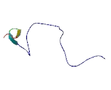 G Protein Coupled Receptor 37 (GPR37)