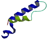 G Protein Coupled Receptor 4 (GPR4)