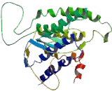 G Protein Coupled Receptor 45 (GPR45)