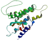 G Protein Coupled Receptor 50 (GPR50)