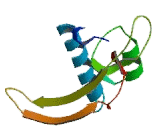 G Protein Coupled Receptor 65 (GPR65)