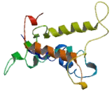 G Protein Coupled Receptor 75 (GPR75)