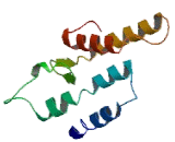 G Protein Coupled Receptor 84 (GPR84)