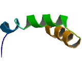 G Protein Coupled Receptor 85 (GPR85)