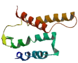 G Protein Coupled Receptor 87 (GPR87)