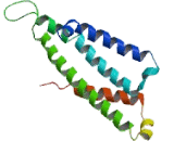 G Protein Coupled Receptor 88 (GPR88)