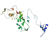 G Protein Coupled Receptor 89B (GPR89B)