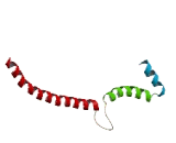 G Protein Coupled Receptor 89C (GPR89C)