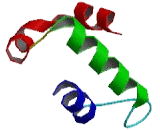 G Protein Coupled Receptor 97 (GPR97)