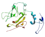 G Protein Coupled Receptor Associated Sorting Protein 1 (GPRASP1)