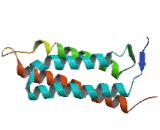 G Protein Coupled Receptor Kinase Interactor 1 (GIT1)