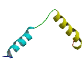 G Protein Gamma 12 (GNg12)