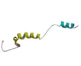 G Protein Gamma 13 (GNg13)