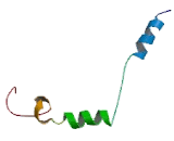 G Protein Gamma 4 (GNg4)