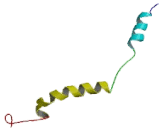 G Protein Gamma 5 (GNg5)