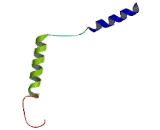 G Protein Gamma 7 (GNg7)