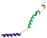 G Protein Gamma Transducing Activity Polypeptide 1 (GNgT1)