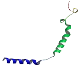 G Protein Gamma Transducing Activity Polypeptide 2 (GNgT2)