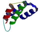 G Protein Signaling Modulator 1 (GPSM1)