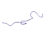 G Protein Signaling Modulator 3 (GPSM3)