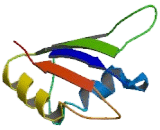 G-Rich RNA Sequence Binding Factor 1 (GRSF1)