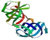 G1-To-S-Phase Transition Protein 2 (GSPT2)