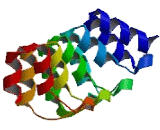 GA Binding Protein Transcription Factor Beta 2 (GABPb2)