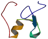 GATA Binding Protein 3 (GATA3)