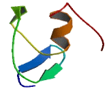 GATA Binding Protein 6 (GATA6)