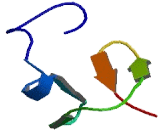 GATA Zinc Finger Domain Containing Protein 2B (GATAD2B)