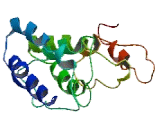 GATS Like Protein 1 (GATSL1)