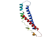 GC Binding Factor (GCF)