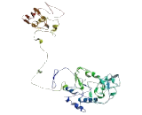 GC-Rich Promoter Binding Protein 1 (GPBP1)